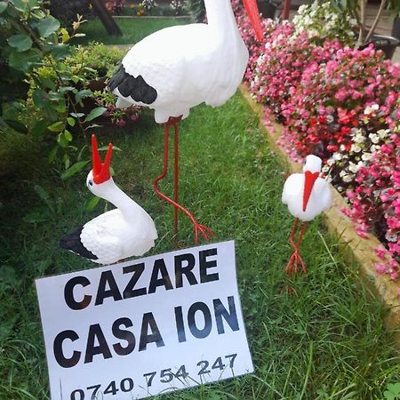 Apartament Casa Ion Horezu Zewnętrze zdjęcie