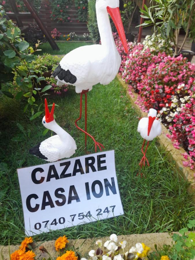 Apartament Casa Ion Horezu Zewnętrze zdjęcie