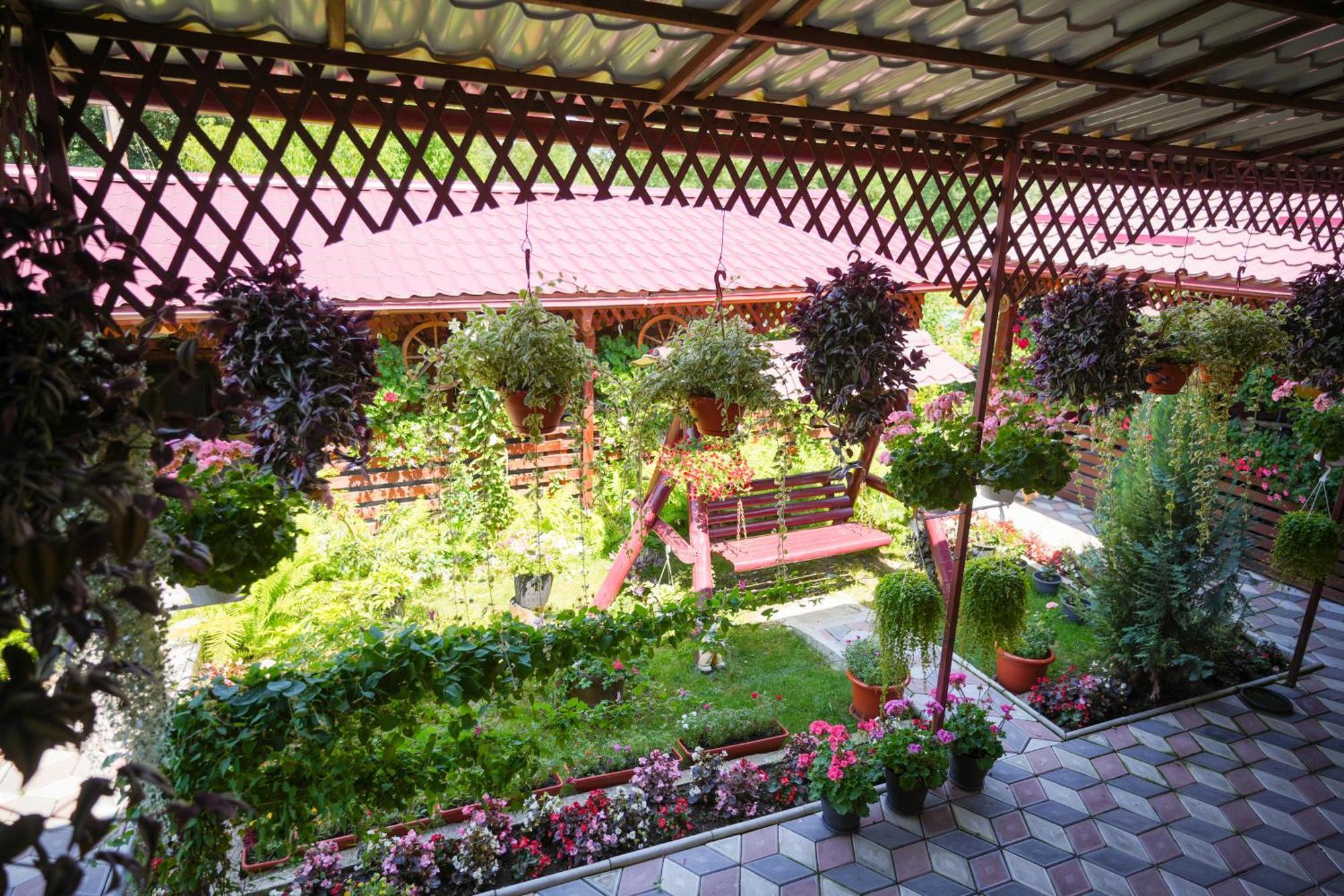 Apartament Casa Ion Horezu Zewnętrze zdjęcie