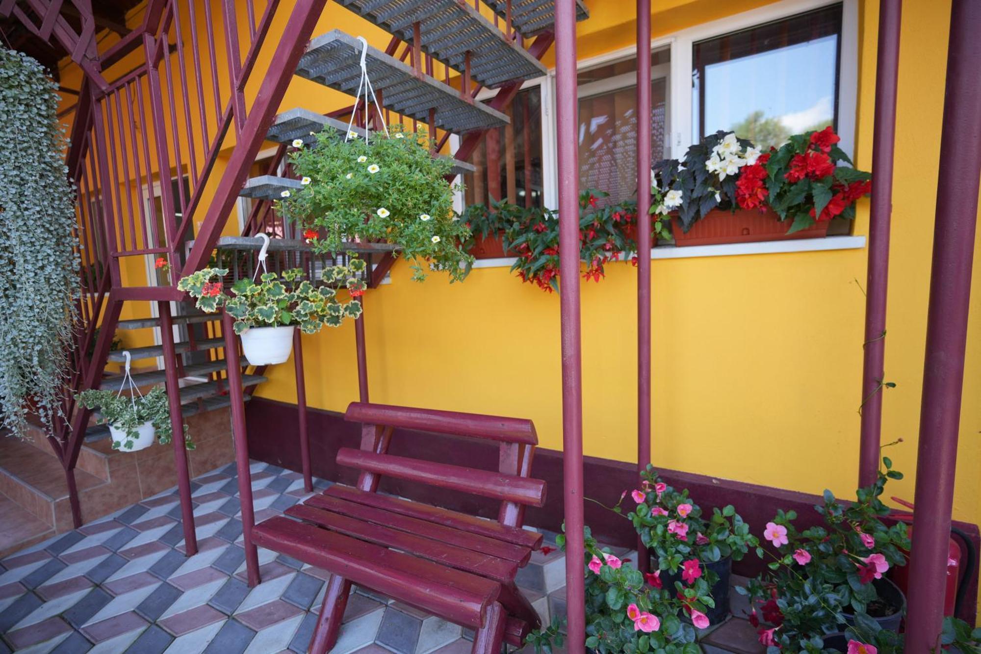 Apartament Casa Ion Horezu Zewnętrze zdjęcie