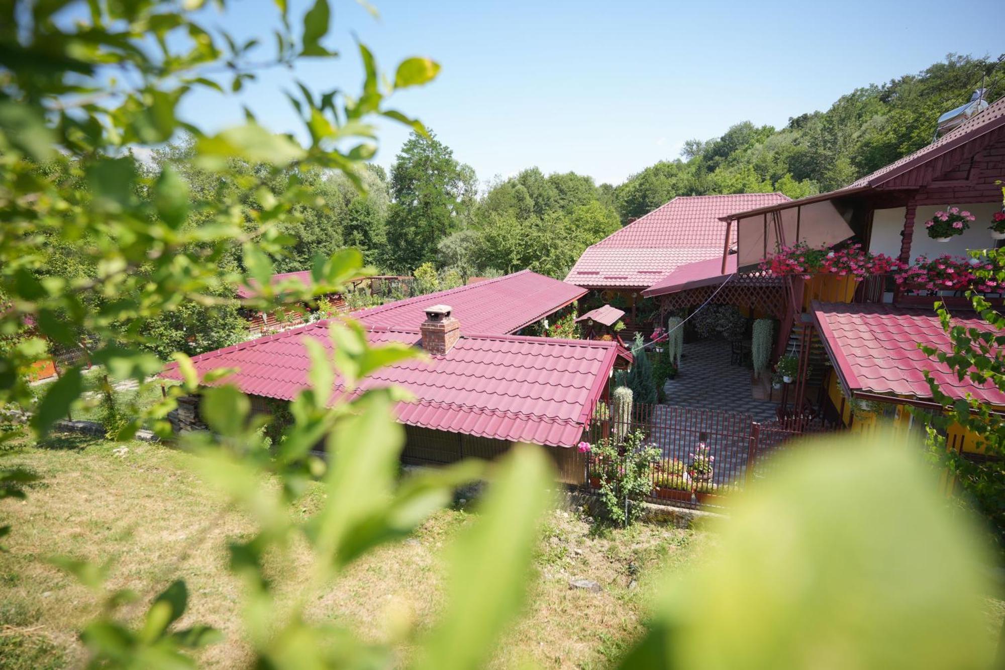 Apartament Casa Ion Horezu Zewnętrze zdjęcie