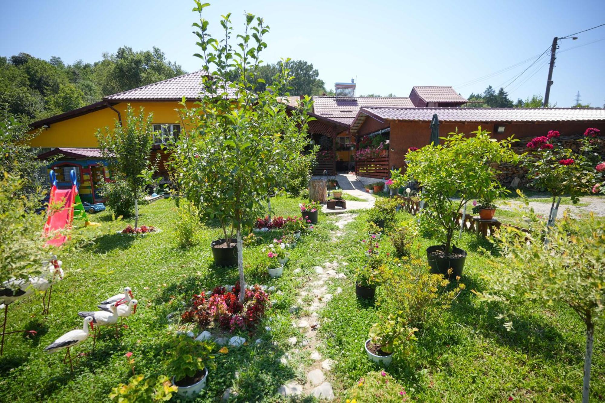 Apartament Casa Ion Horezu Zewnętrze zdjęcie