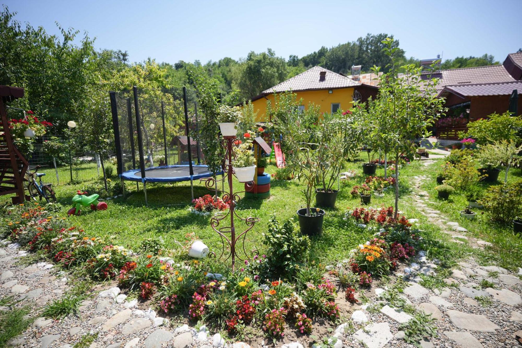 Apartament Casa Ion Horezu Zewnętrze zdjęcie