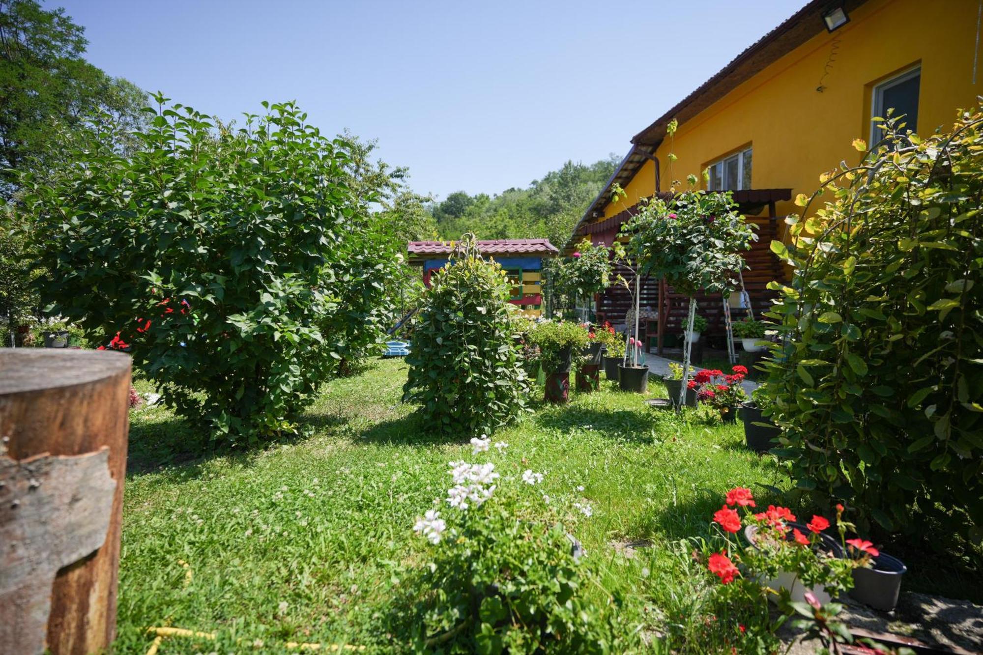 Apartament Casa Ion Horezu Zewnętrze zdjęcie