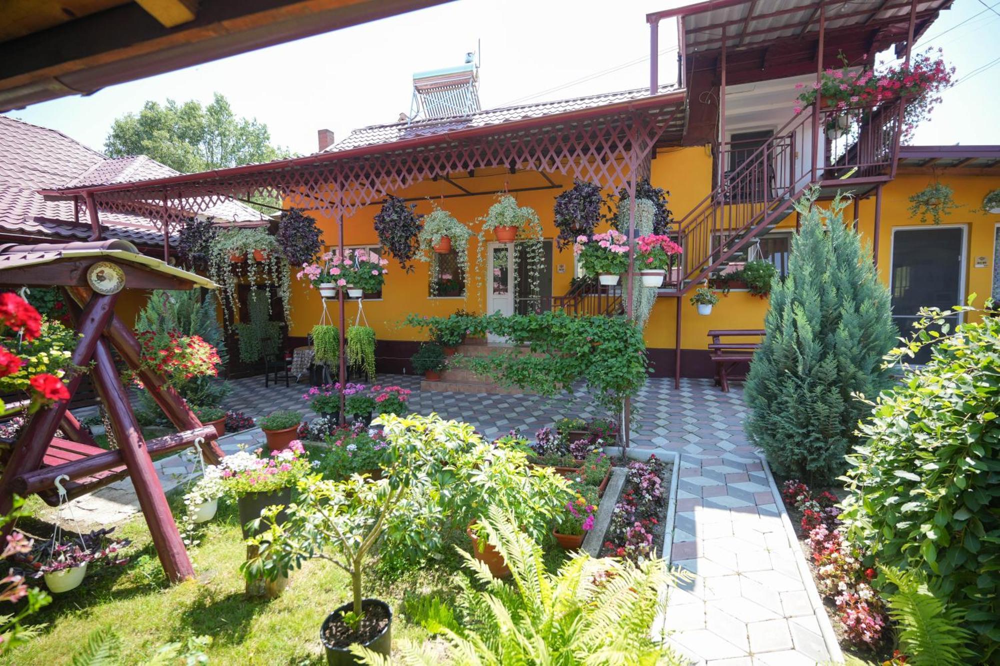 Apartament Casa Ion Horezu Zewnętrze zdjęcie