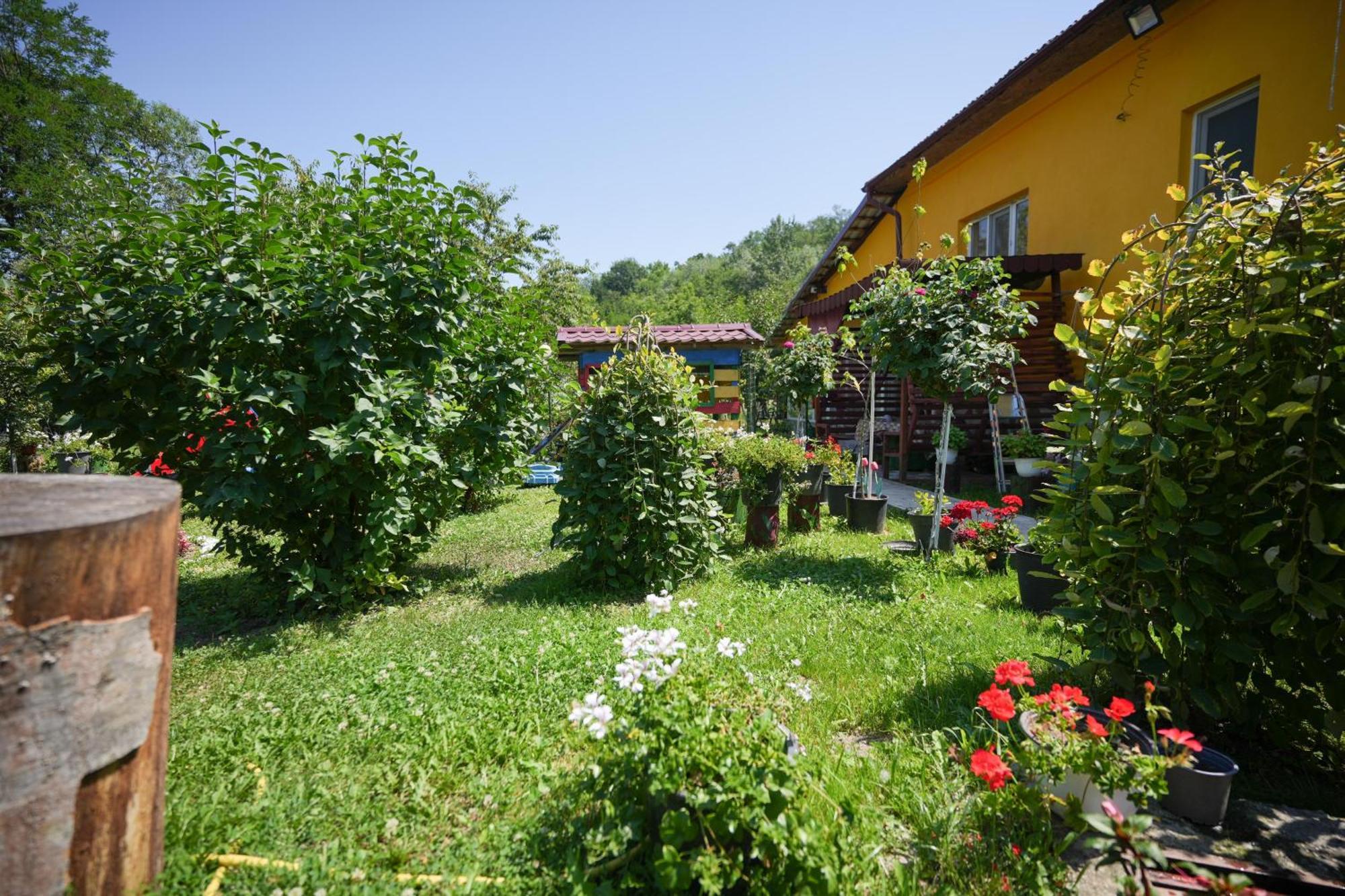 Apartament Casa Ion Horezu Zewnętrze zdjęcie
