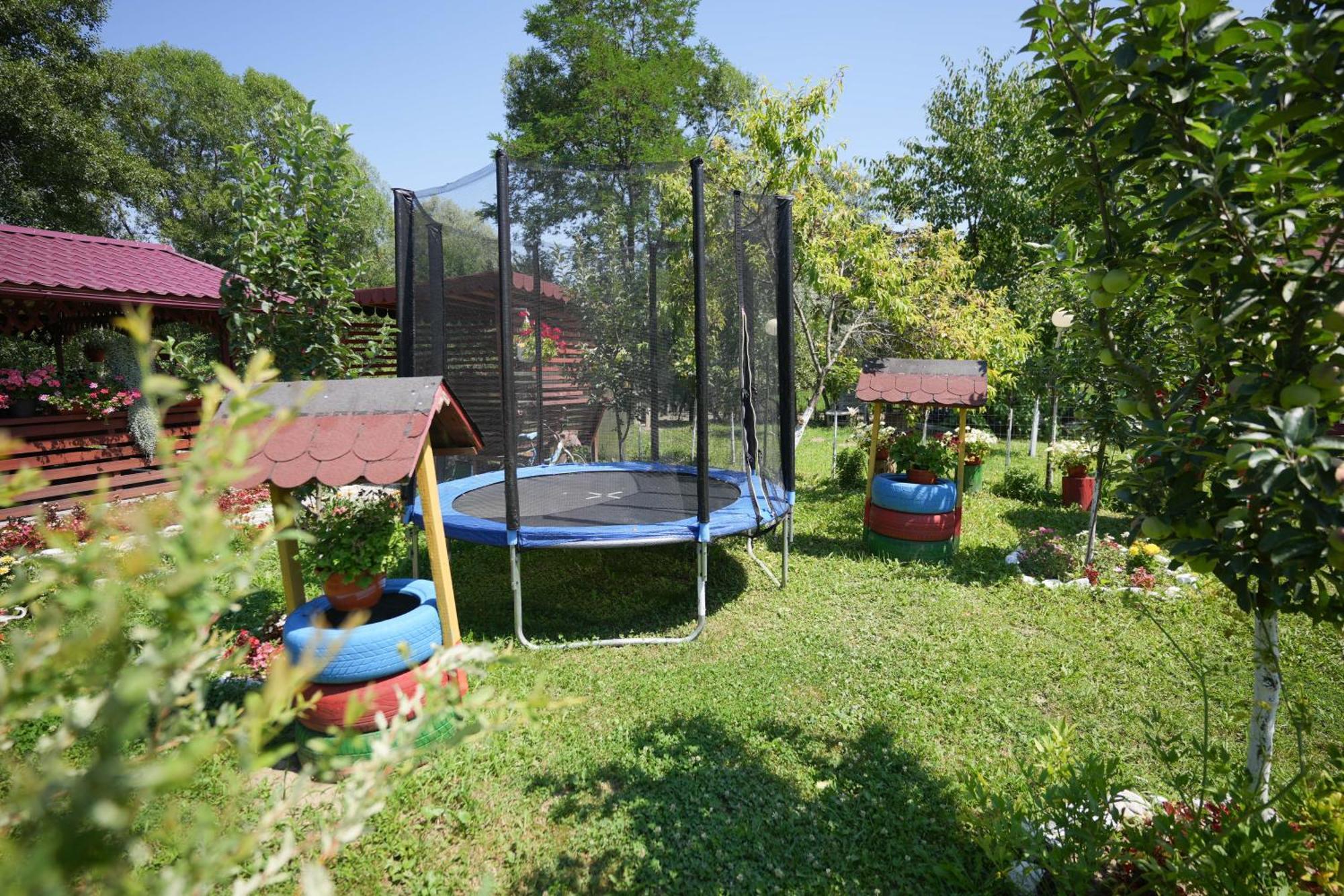 Apartament Casa Ion Horezu Zewnętrze zdjęcie