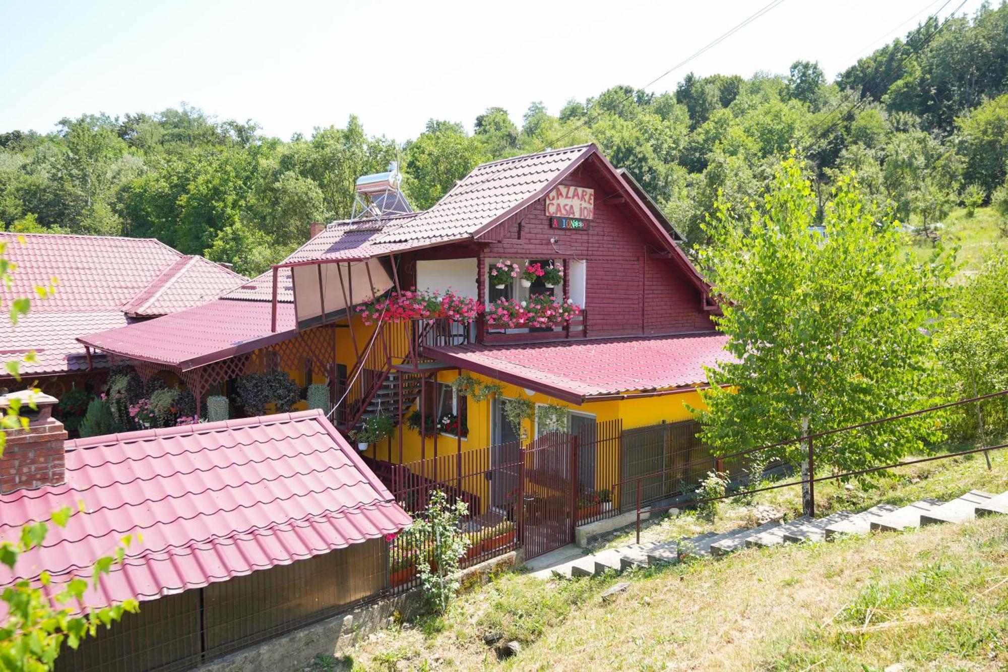 Apartament Casa Ion Horezu Zewnętrze zdjęcie