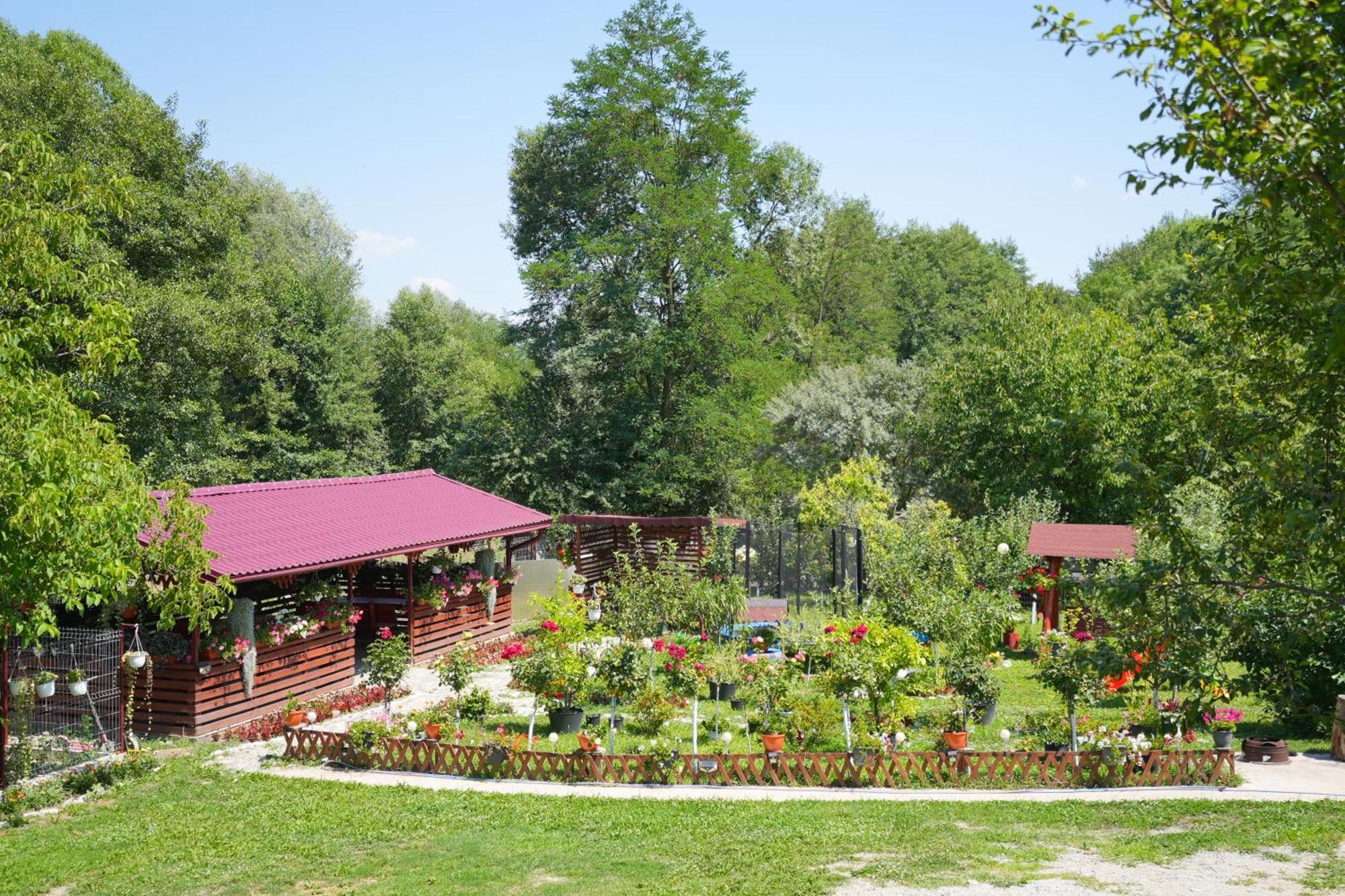 Apartament Casa Ion Horezu Zewnętrze zdjęcie