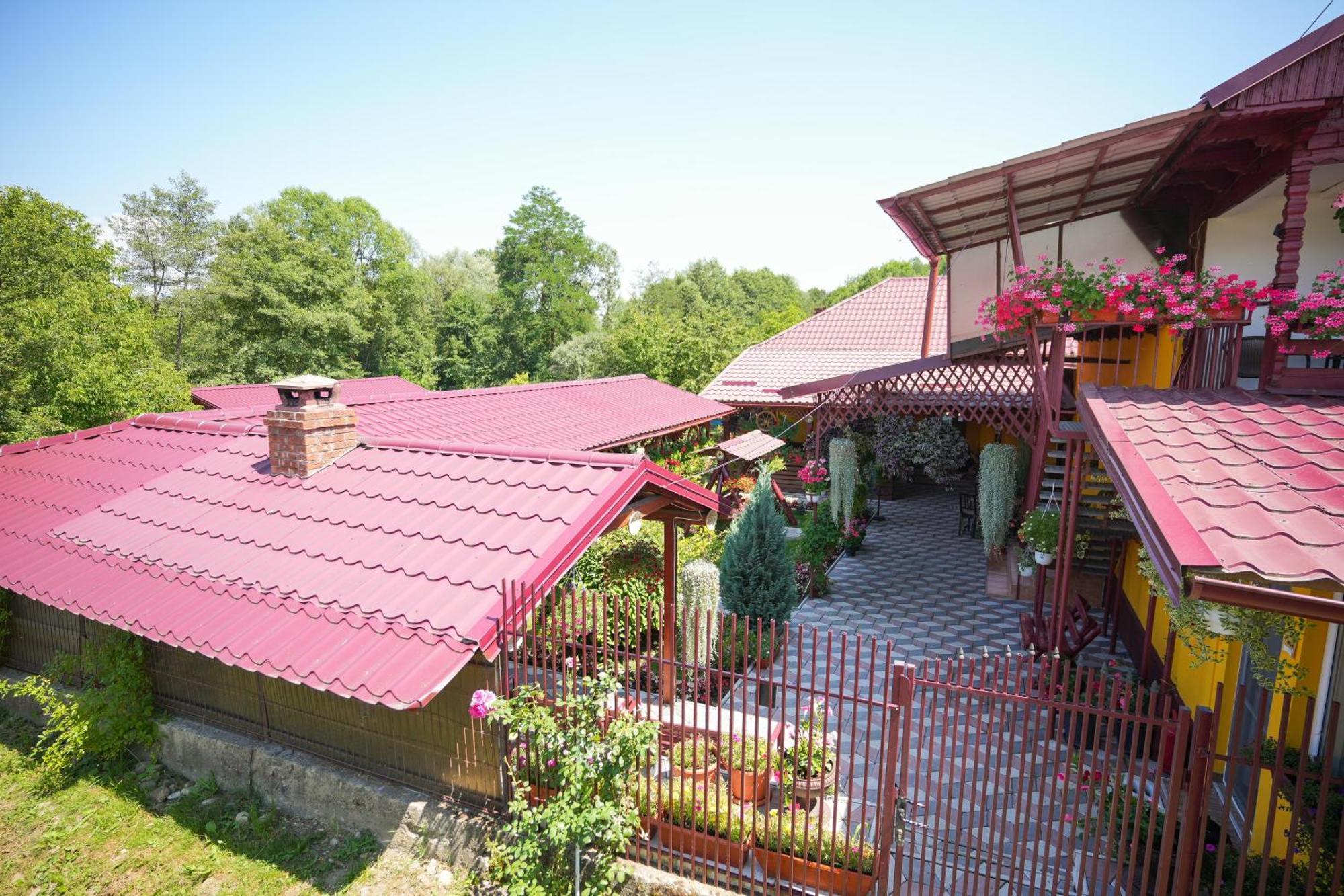Apartament Casa Ion Horezu Zewnętrze zdjęcie